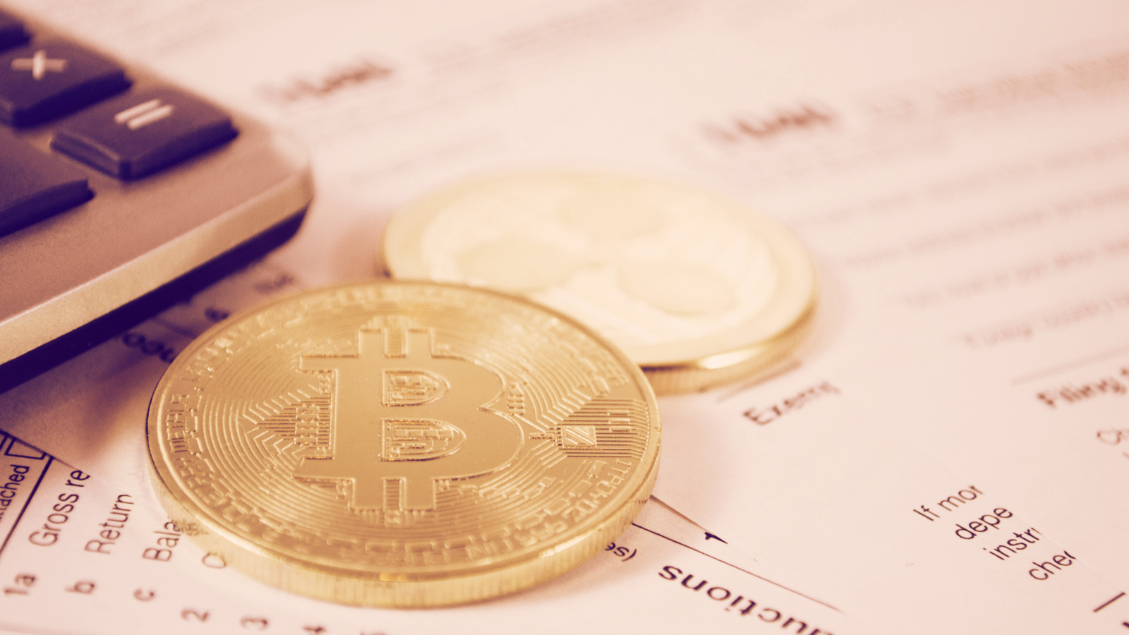 Hacked Cryptopia Gets One Step Closer to Returning Funds - Decrypt