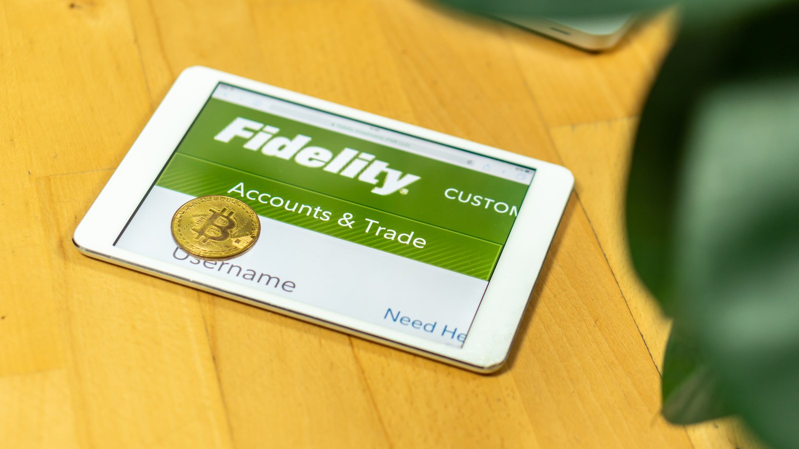 Fidelity Launches CITs With Alternative Investment Exposure