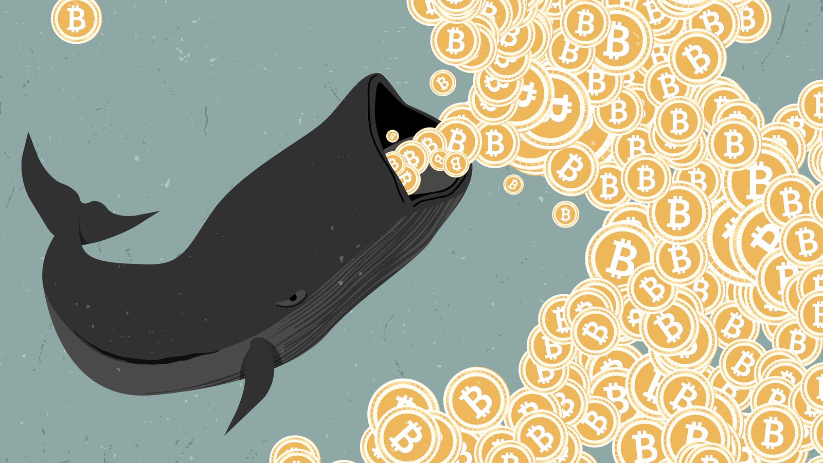 Bitcoin Whales Are Hungrier Than Ever for BTC—Here’s Why