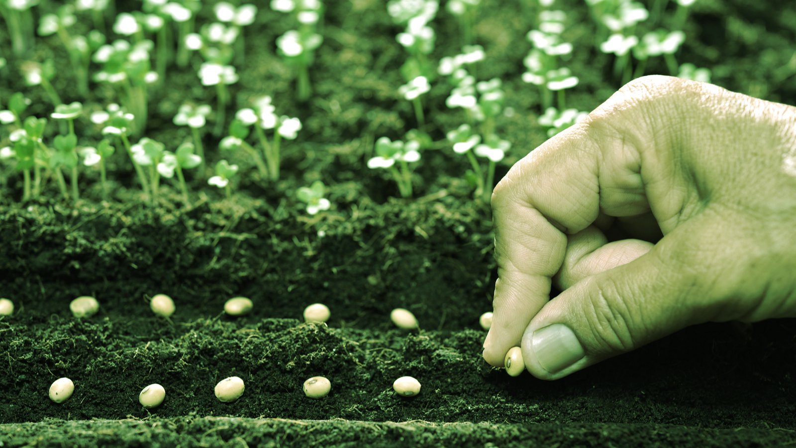 Crypto Cashback App Eco Raises $26 Million in Funding Round Led by Andreessen Horowitz