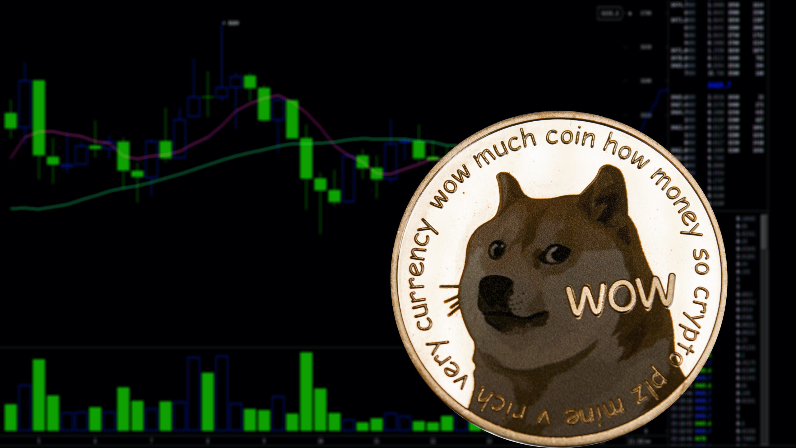 Dogecoin Price Plunges to $0.27, Halting Impressive Rally - Decrypt