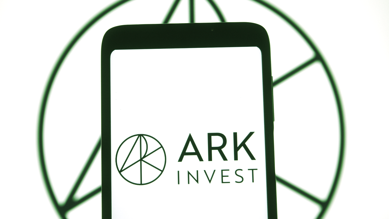 Ark Invest Defends Bitcoin's Environmental Impact Following Elon Musk Tweets