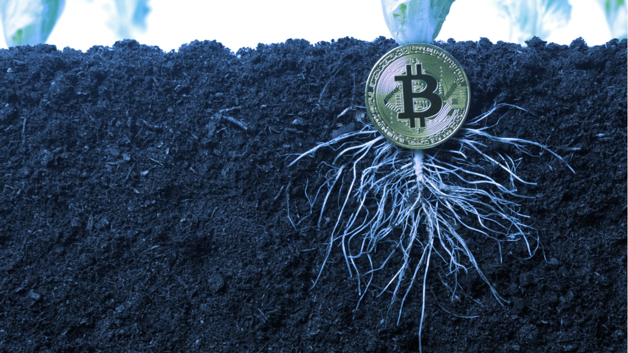 Bitcoin’s Biggest Upgrade Since 2017: Taproot Just Went Live