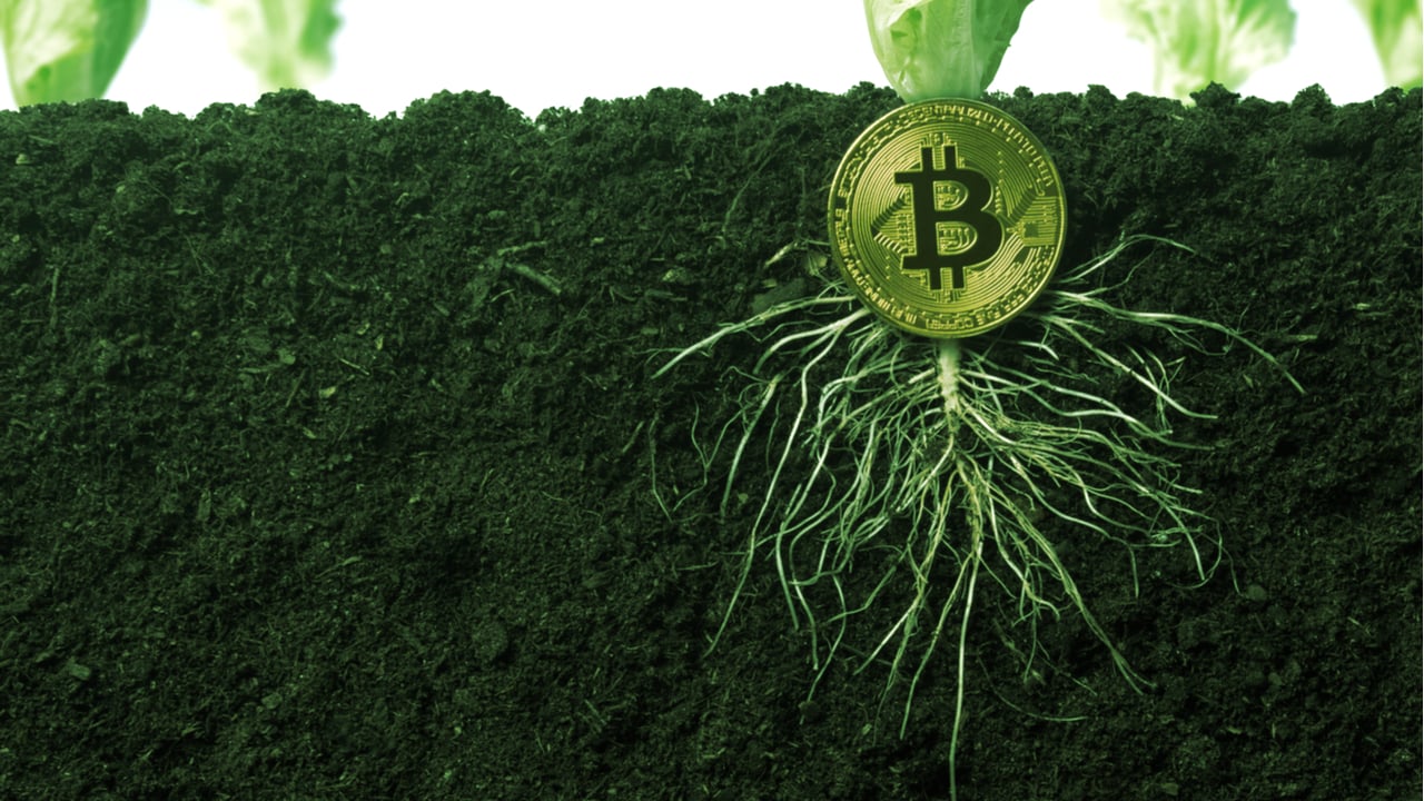 New Bitcoin Core Release Adds Taproot: What You Need to Know
