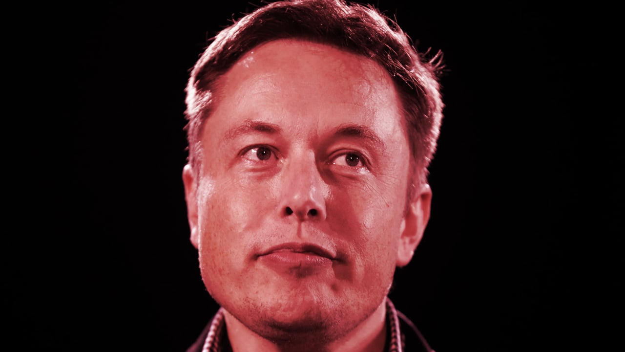 Elon Musk is the CEO of Tesla. Image: Shutterstock