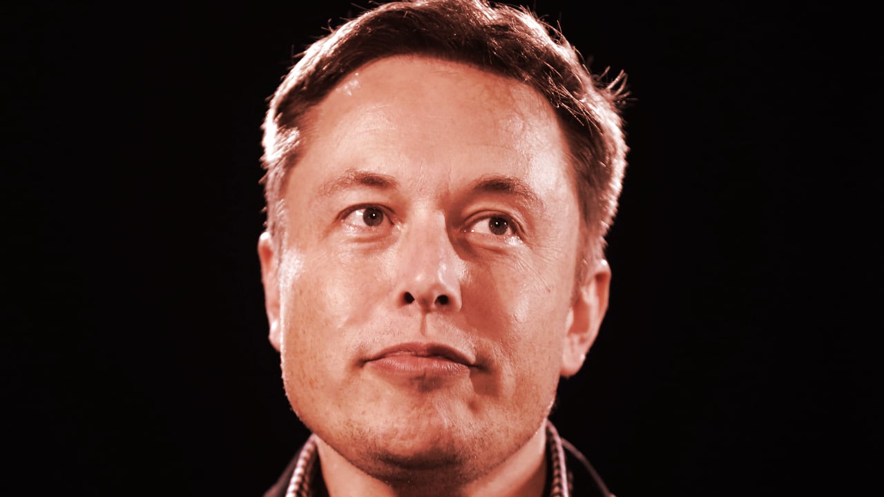 This Week on Crypto Twitter: Elon Musk Joins Twitter IRL, Do Kwon Buys More Bitcoin