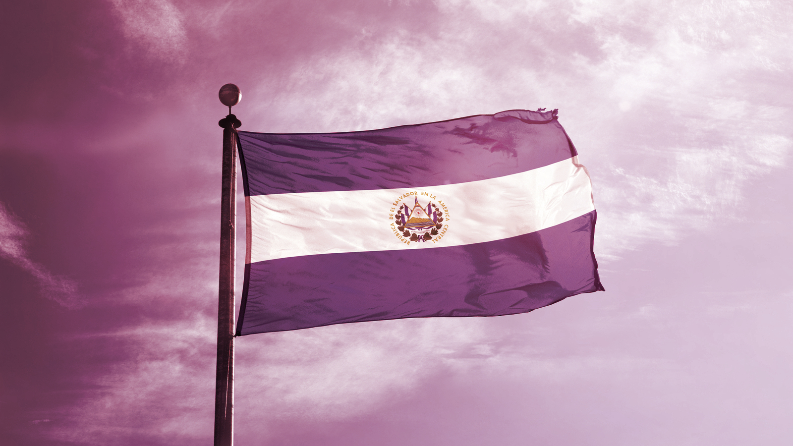 New Round of Protests Against President Bukele's Bitcoin Law in El Salvador
