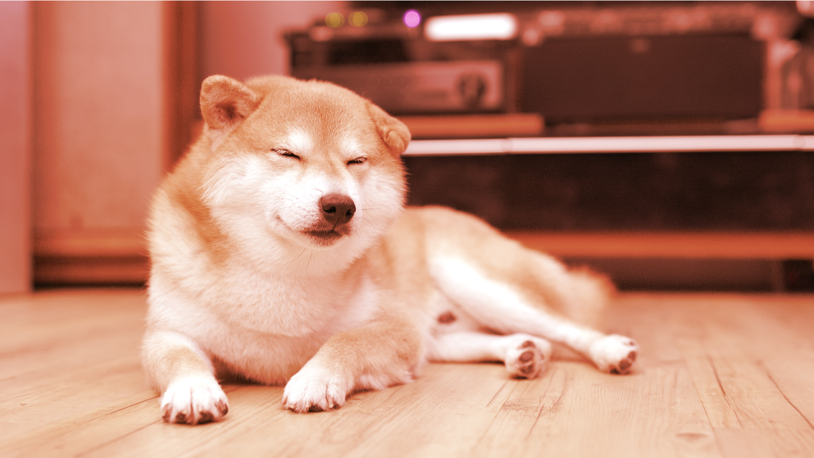 Dogecoin Down 20% from Last Week