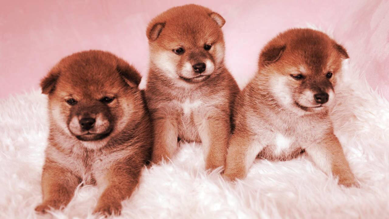 SHIB Flips Dogecoin Again as Meme Coins Jostle for Supremacy