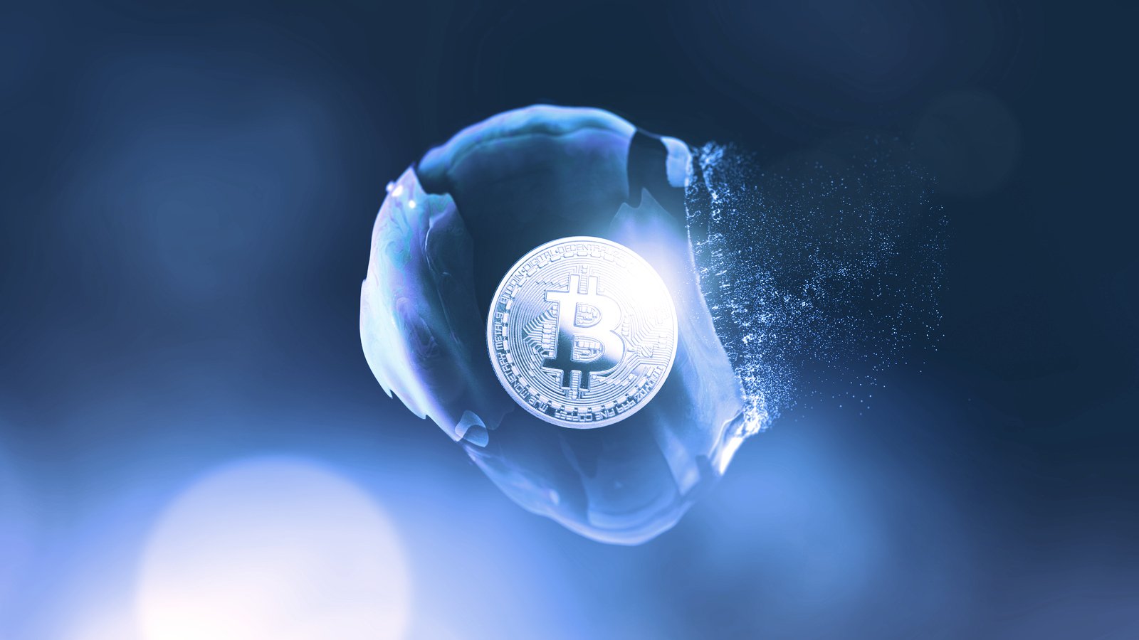This Week in Coins: Bitcoin and Ethereum Hit ATH and SHIB Becomes Top 10 Token