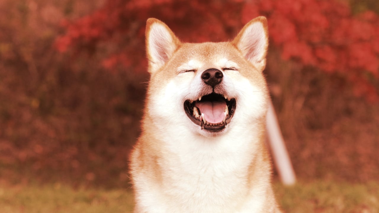 Dogecoin Knockoff SHIB Hits Coinbase, Price Spikes 11% in an Hour