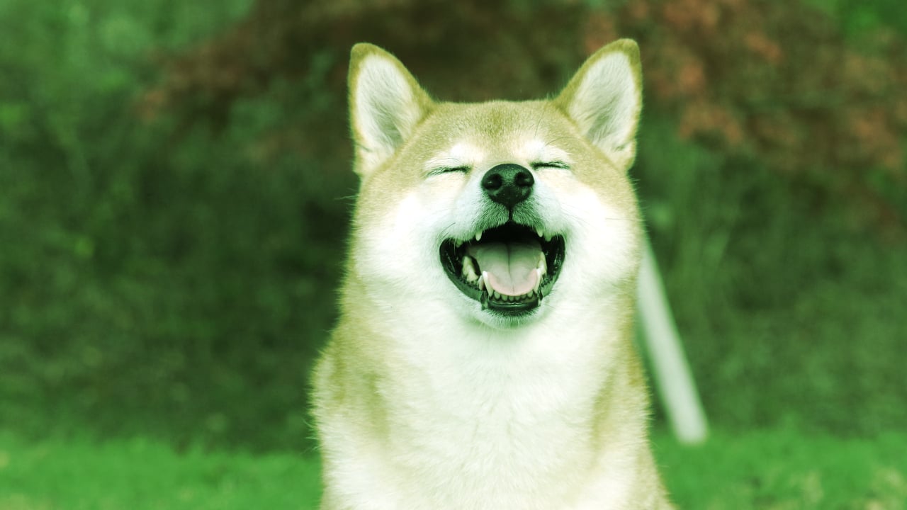 Meme Coin Shiba Inu Hits 5-Month High, Dogecoin Up Nearly 10%