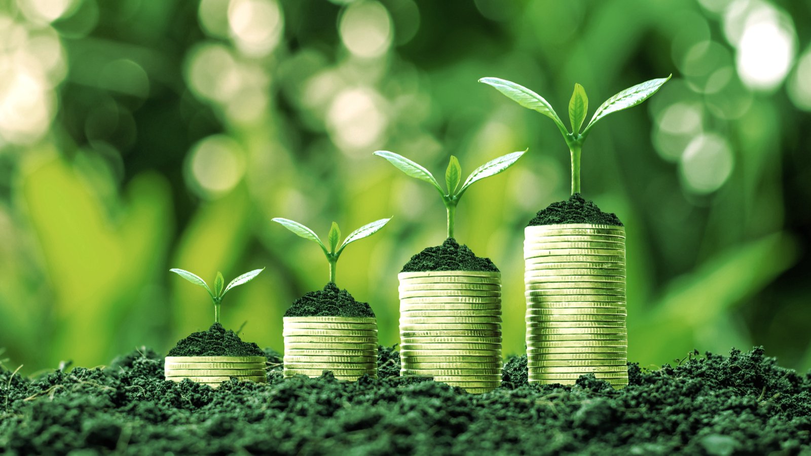 ‘Inclusive DeFi’ Startup Angle Labs Announces $5 Million Seed Round Led By a16z
