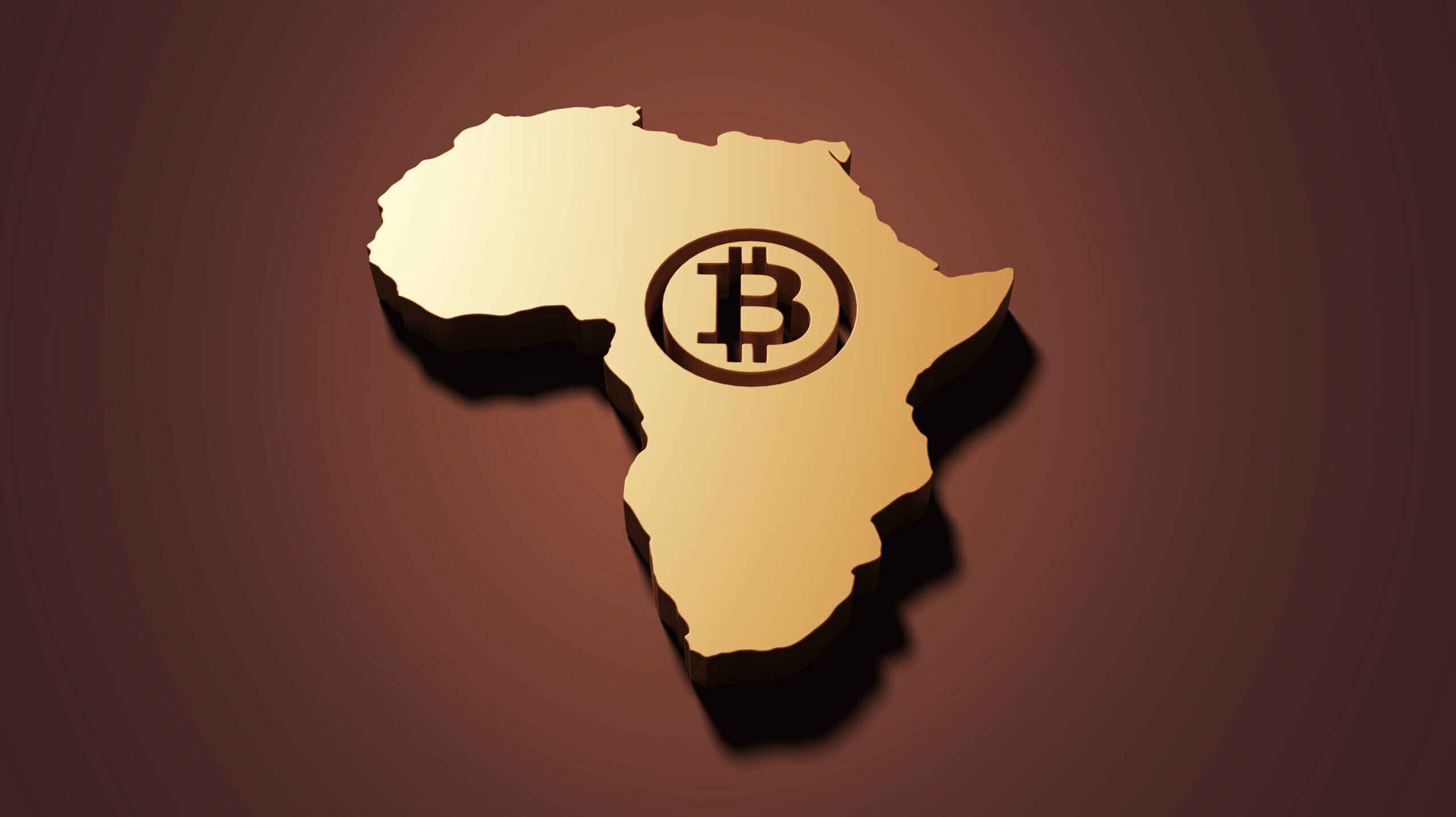 Central African Republic Didn't Share Bitcoin Adoption Plans With Central Bank: Report