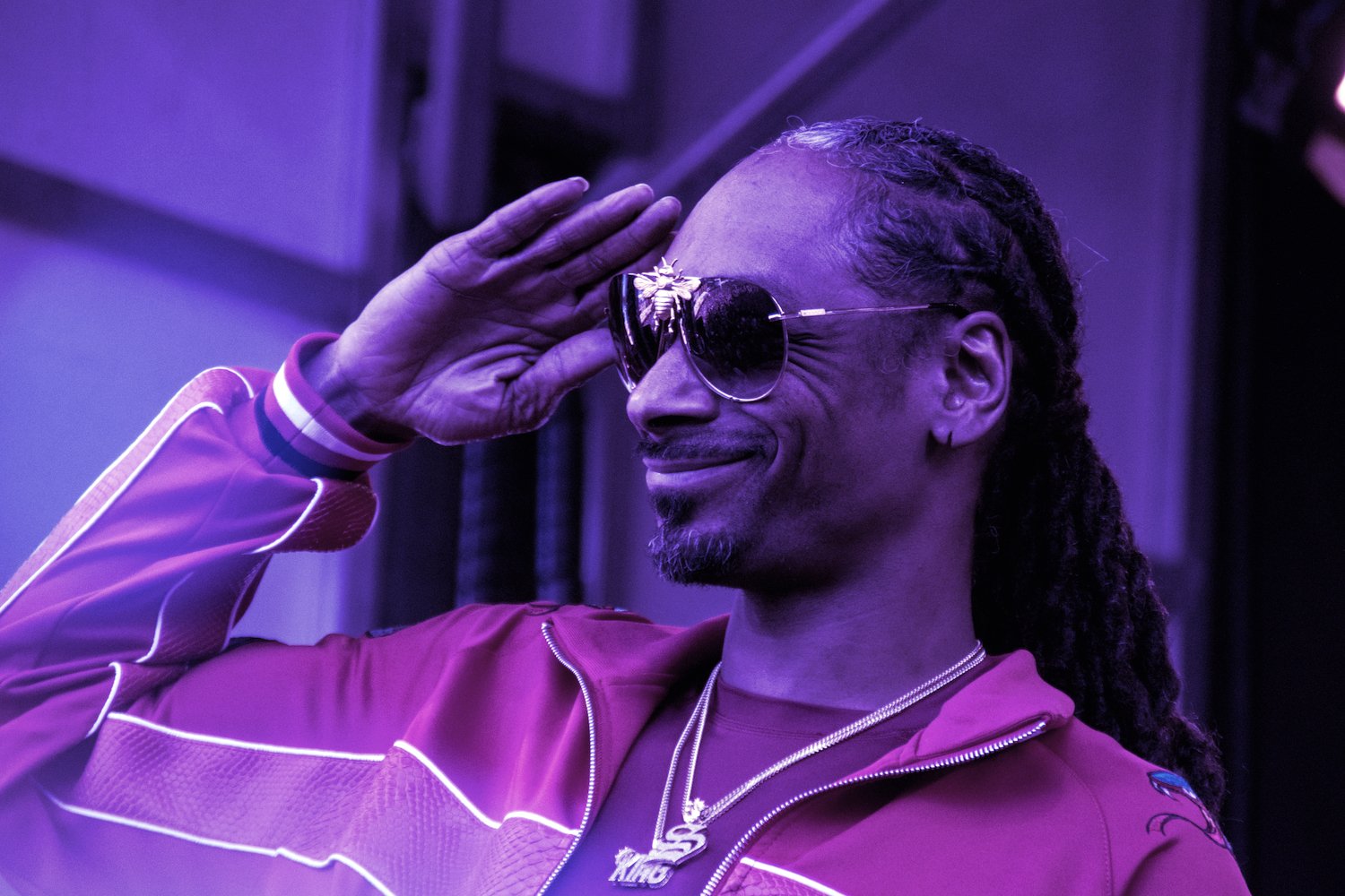 Snoop Dogg Reveals Himself as Ethereum NFT Whale With $17M Collection -  Decrypt