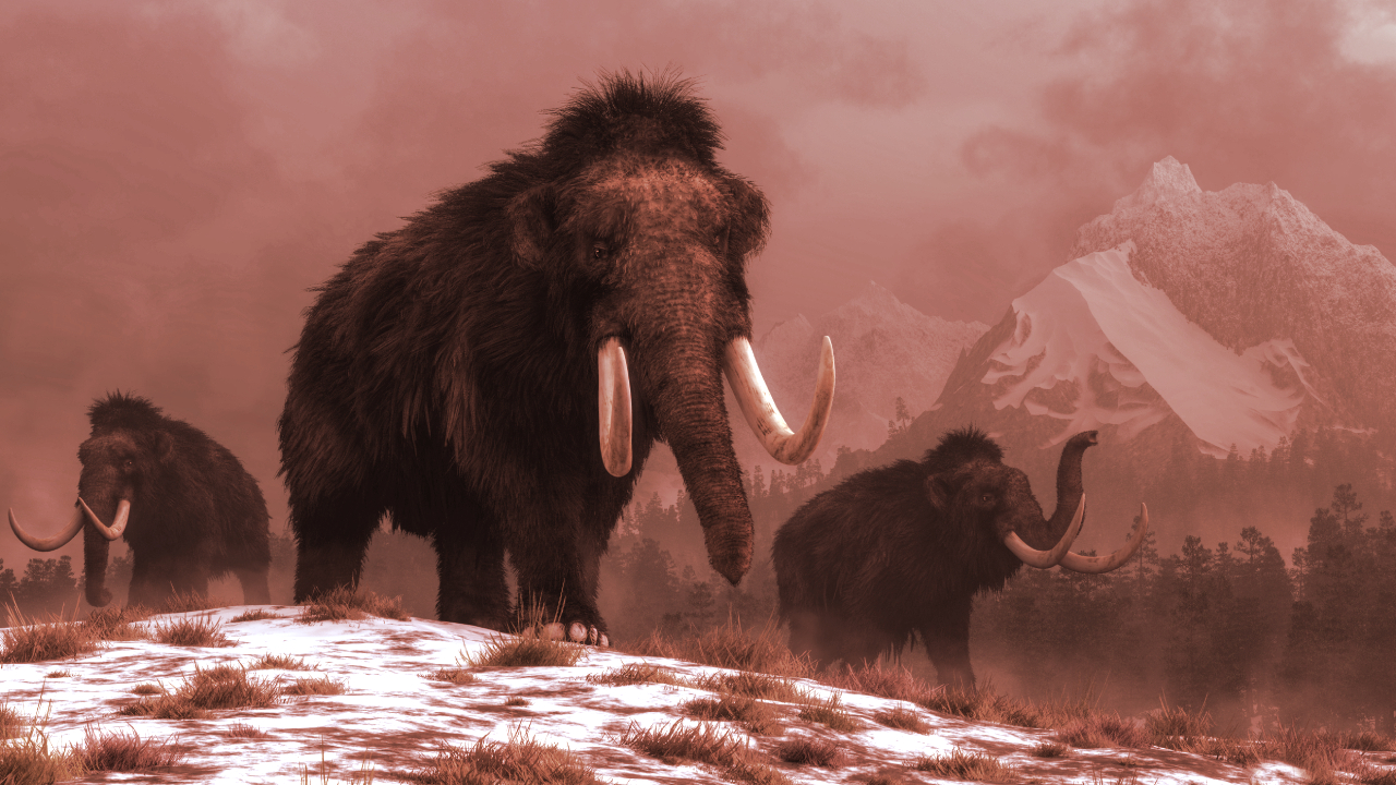 Bitcoin Billionaires Back Woolly Mammoth Revival Project Colossal