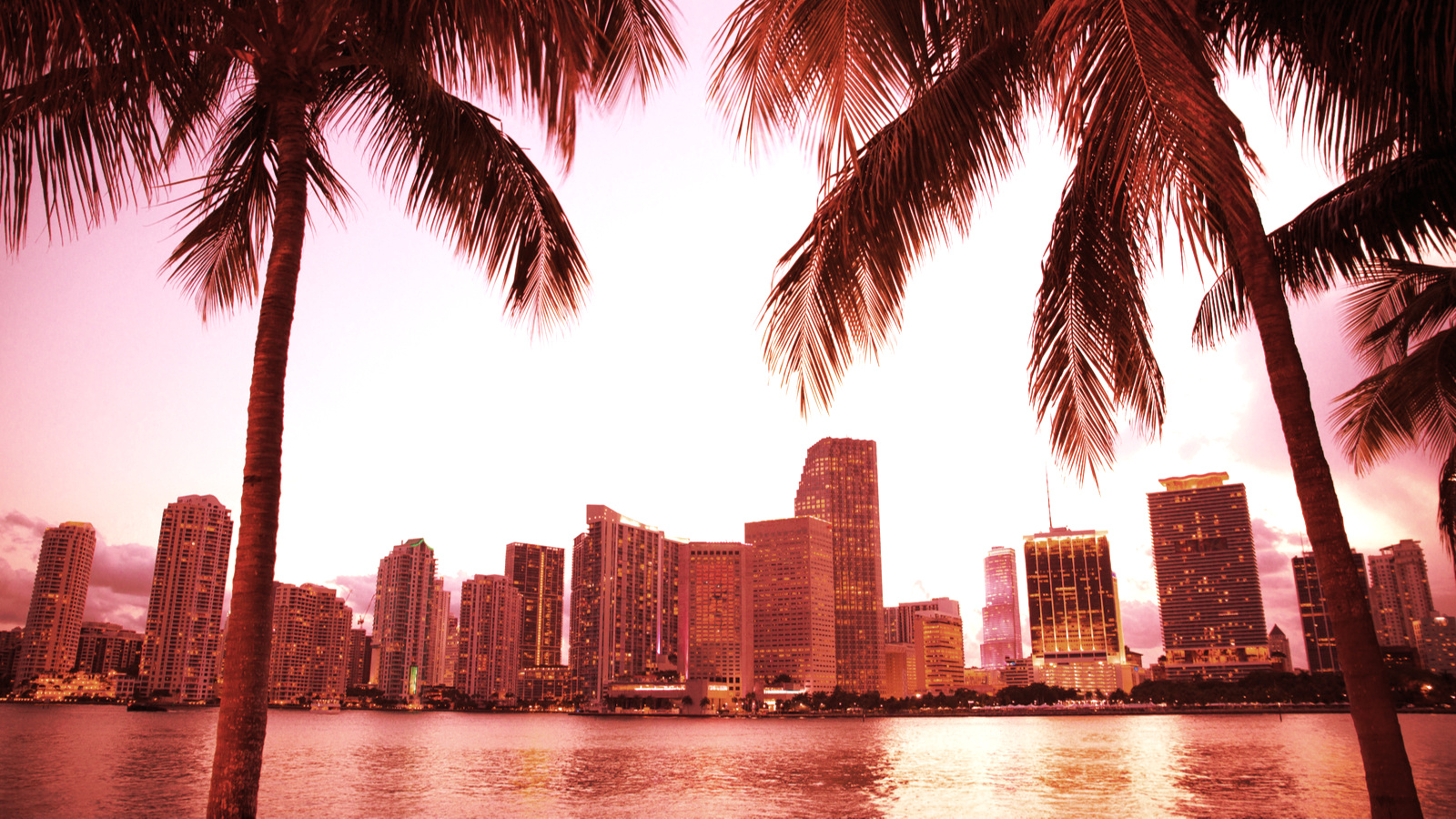 'City-Centric' Crypto MiamiCoin Nets $7.8 Million for City of Miami