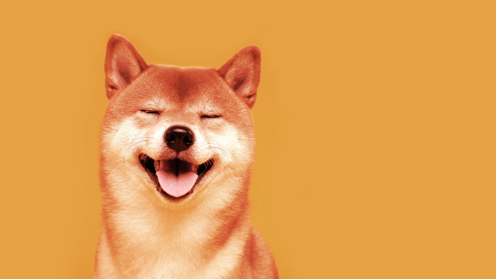 Bitcoin, Ethereum and Dogecoin Rose This Week
