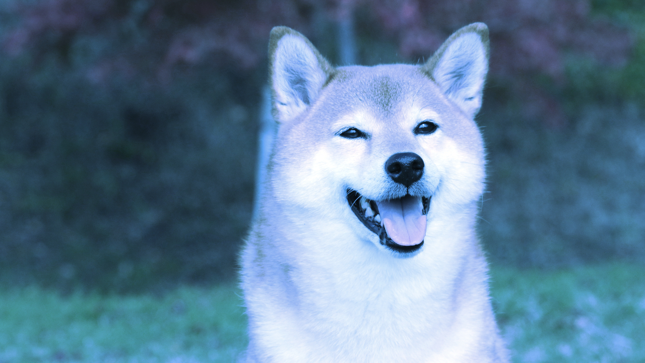 This Shiba Inu dog has now inspired many meme coins. Image: Shutterstock