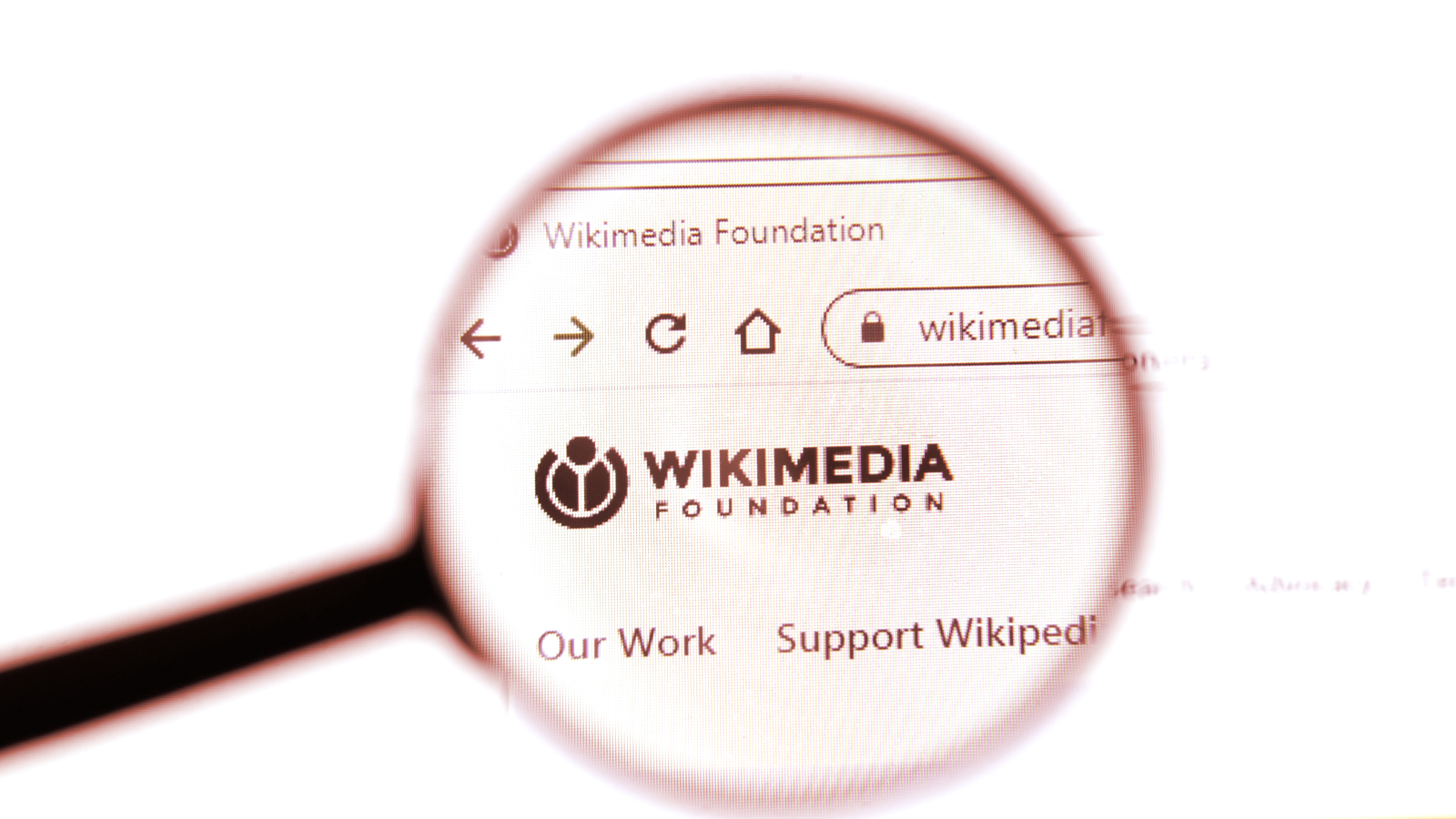 Wikimedia Foundation Called to Stop Accepting Crypto Amid Environmental Concerns