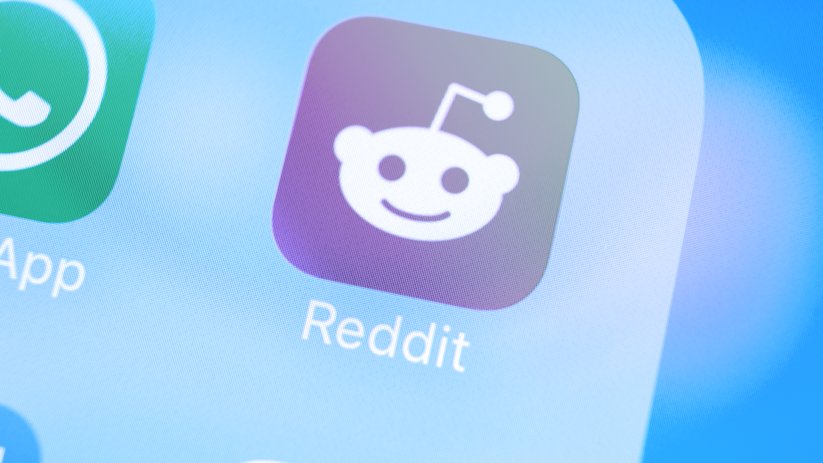 Reddit to Launch NFT Avatars Built on Polygon