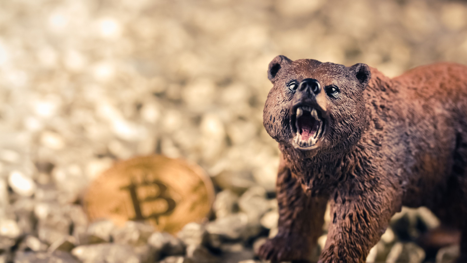 bitcoin-btc-bear-bearish-gID_7.jpg