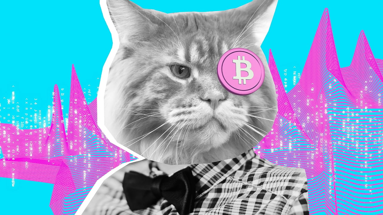 crypto-cat-gID_7.jpg