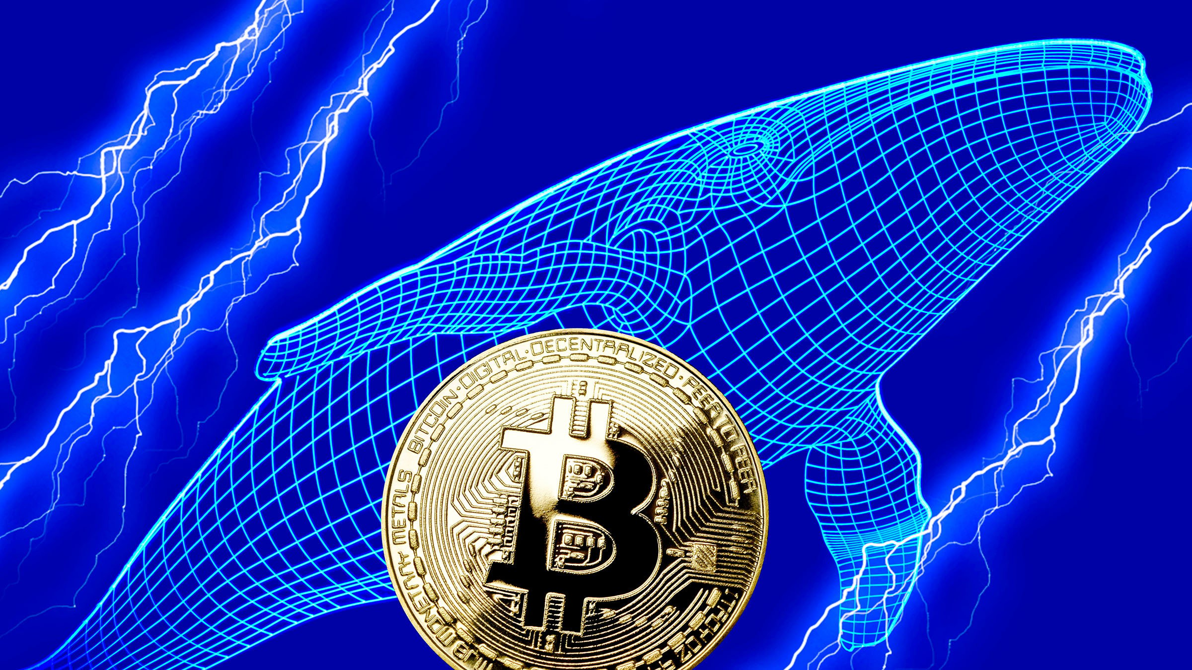 【速報】BitcoinとEthereumのクジラの行動に違い　価格や調整には要注意！ 