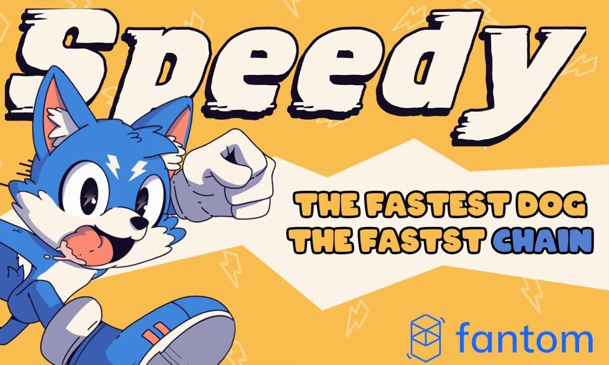 Speedy Launches on Fantom Blockchain, Showcasing Unprecedented Speed and  Efficiency - Decrypt