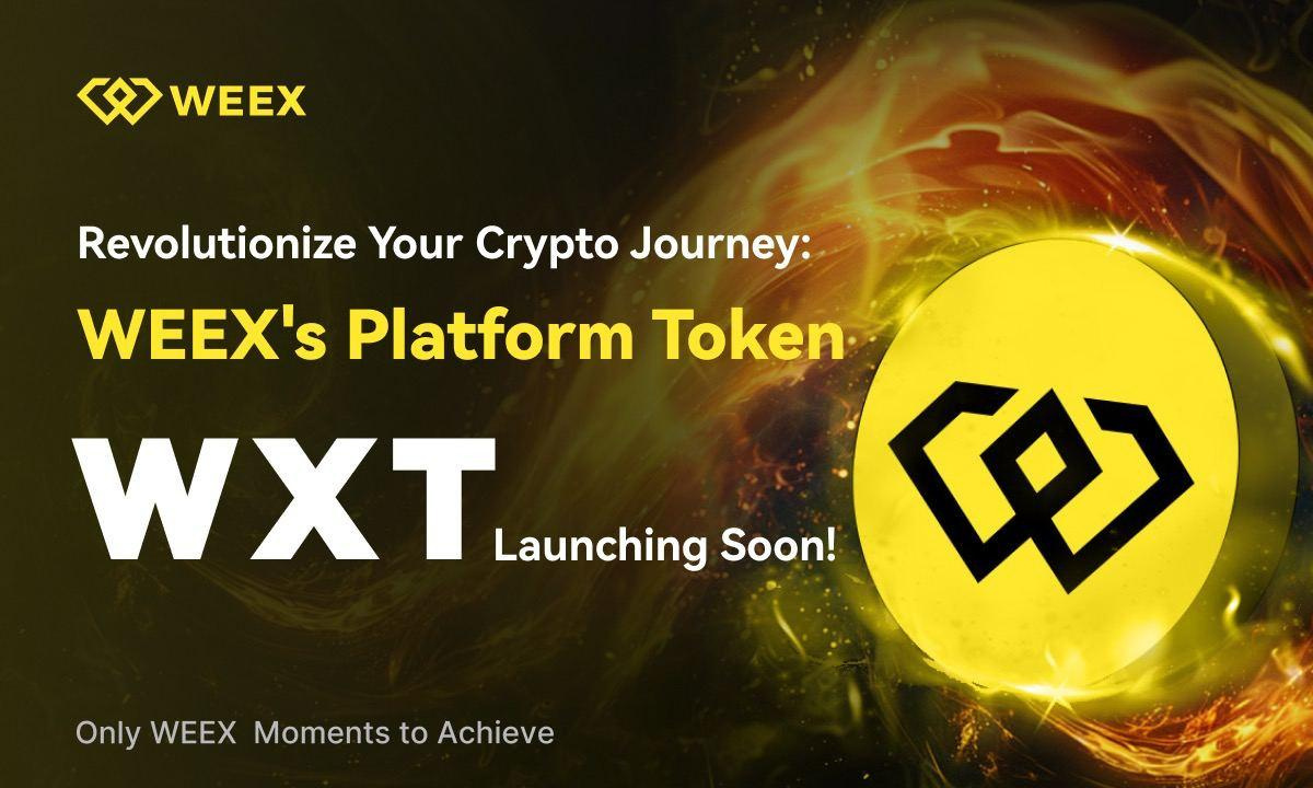 WEEX Exchange Unveils WXT Token to Enhance Ecosystem and Reward Community  Engagement - Decrypt