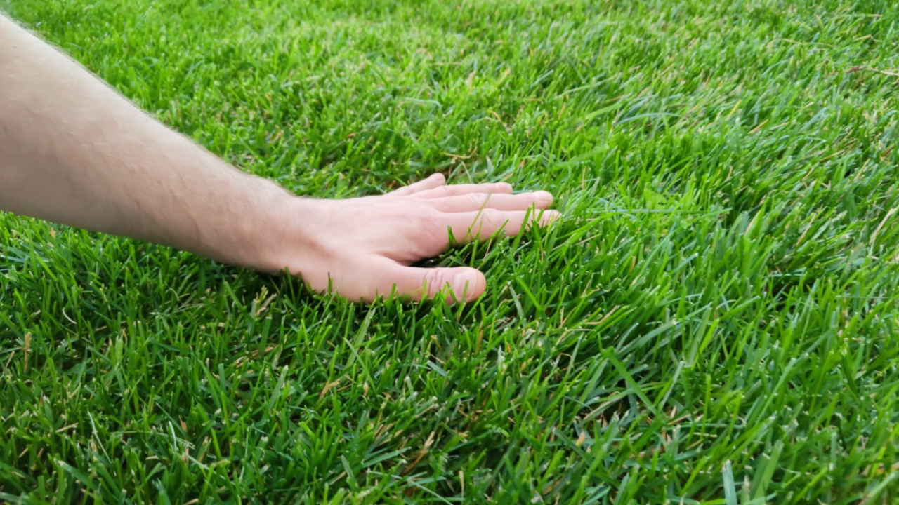 Touch the grass