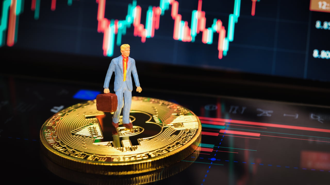 Professor Coin: Do Investors Treat Crypto Differently?