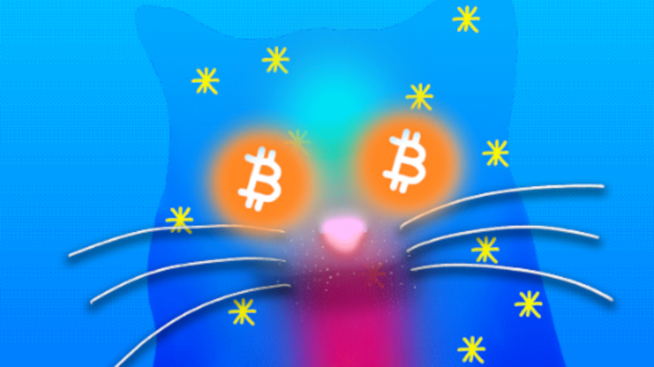 Bitcoin OP_CAT Upgrade: Can Revived Satoshi Code Transform the Top  Blockchain? - Decrypt