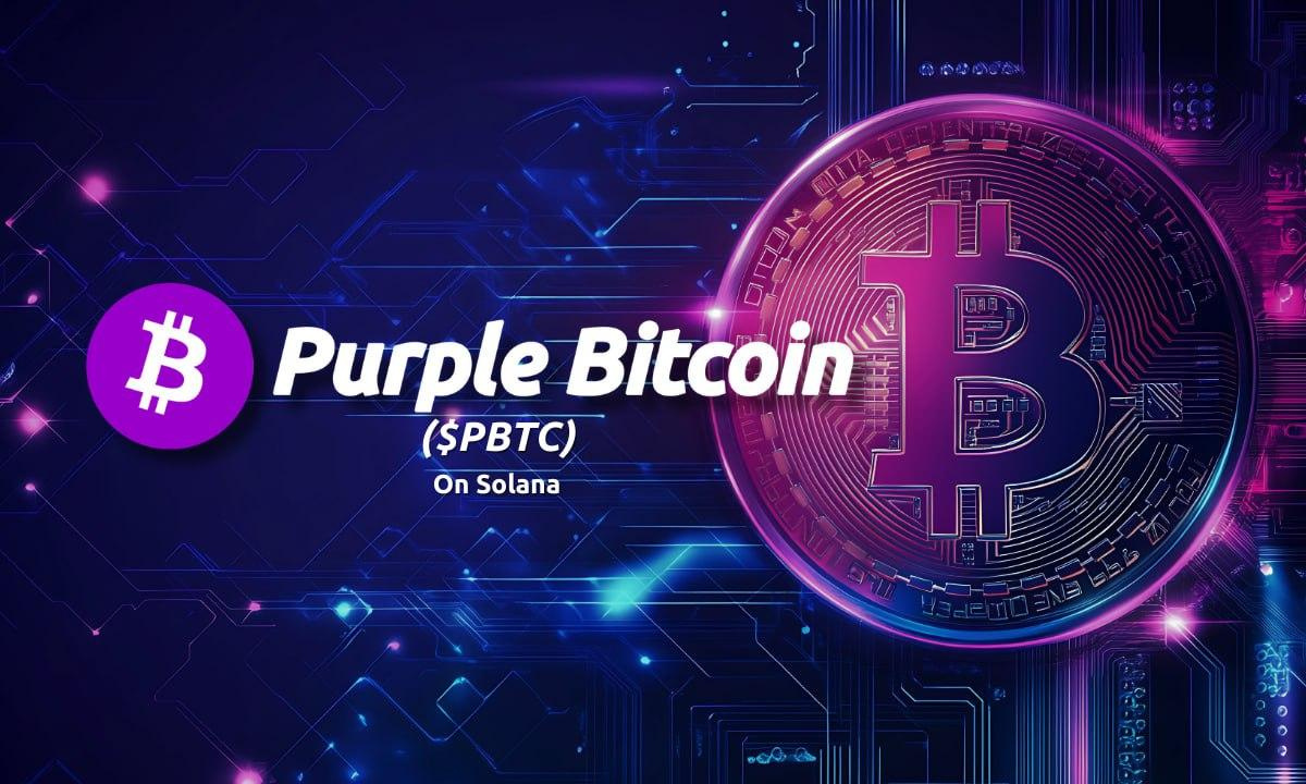 Purple Bitcoin ($PBTC): A Community-Driven Token Designed for Investors and  Built for Growth - Decrypt