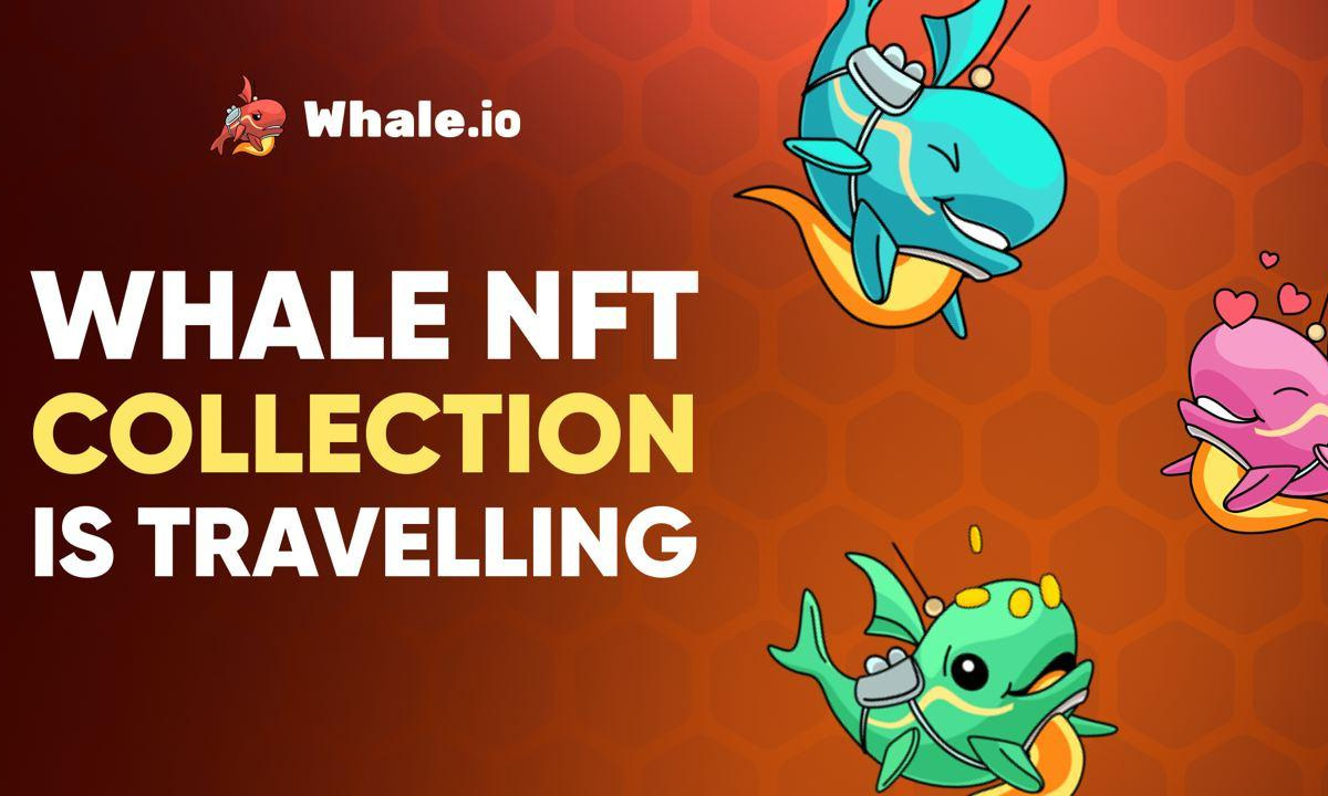 Whale.io to Bridge NFT Collection from TON Blockchain to Solana - Decrypt
