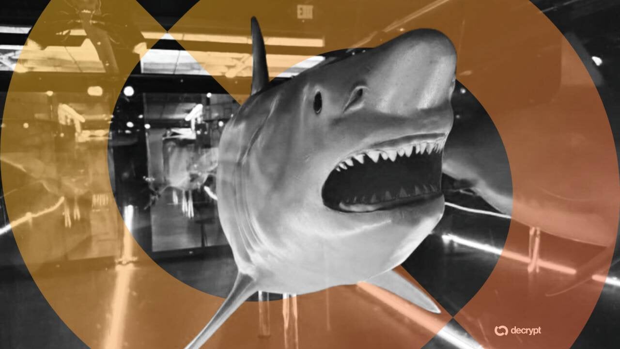 No Bull? Bitcoin Recognized as 'Apex Predator of Money' With Shark Statue